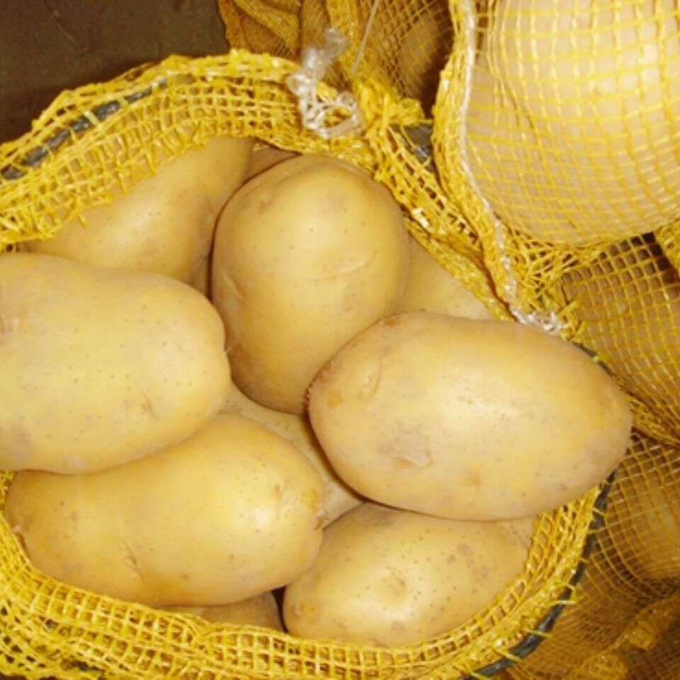 Yellow Potatoes Organic Fresh