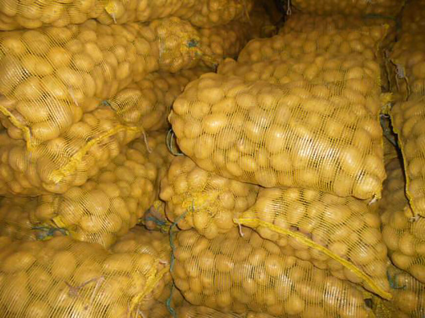 Yellow Potatoes Organic Fresh