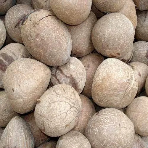 Dried Coconut Ball Copra