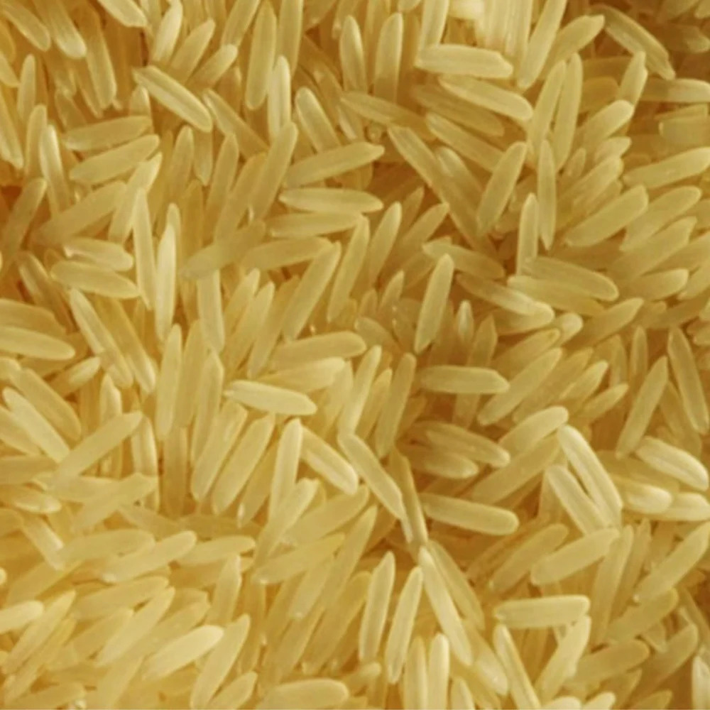 1509 Tibar Basmati Rice