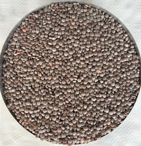 Masoor Daal