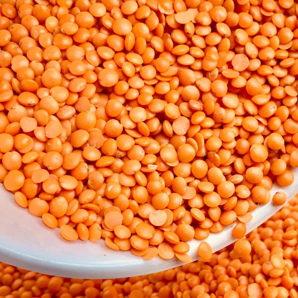 Red Masoor Dal