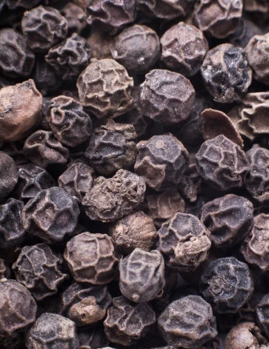 Black Pepper