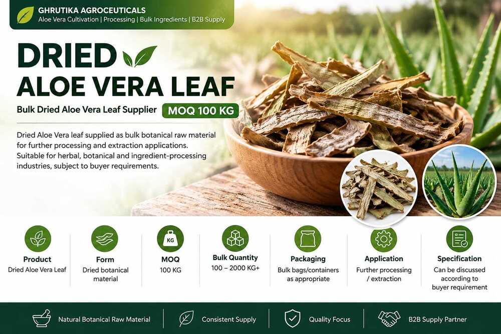 Dried Aloe Vera Leaf