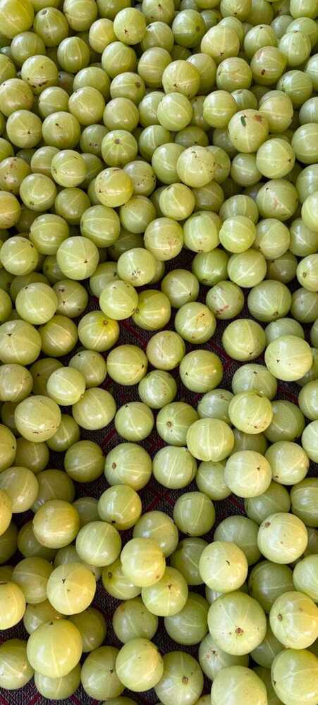 Pure Indian Gooseberry