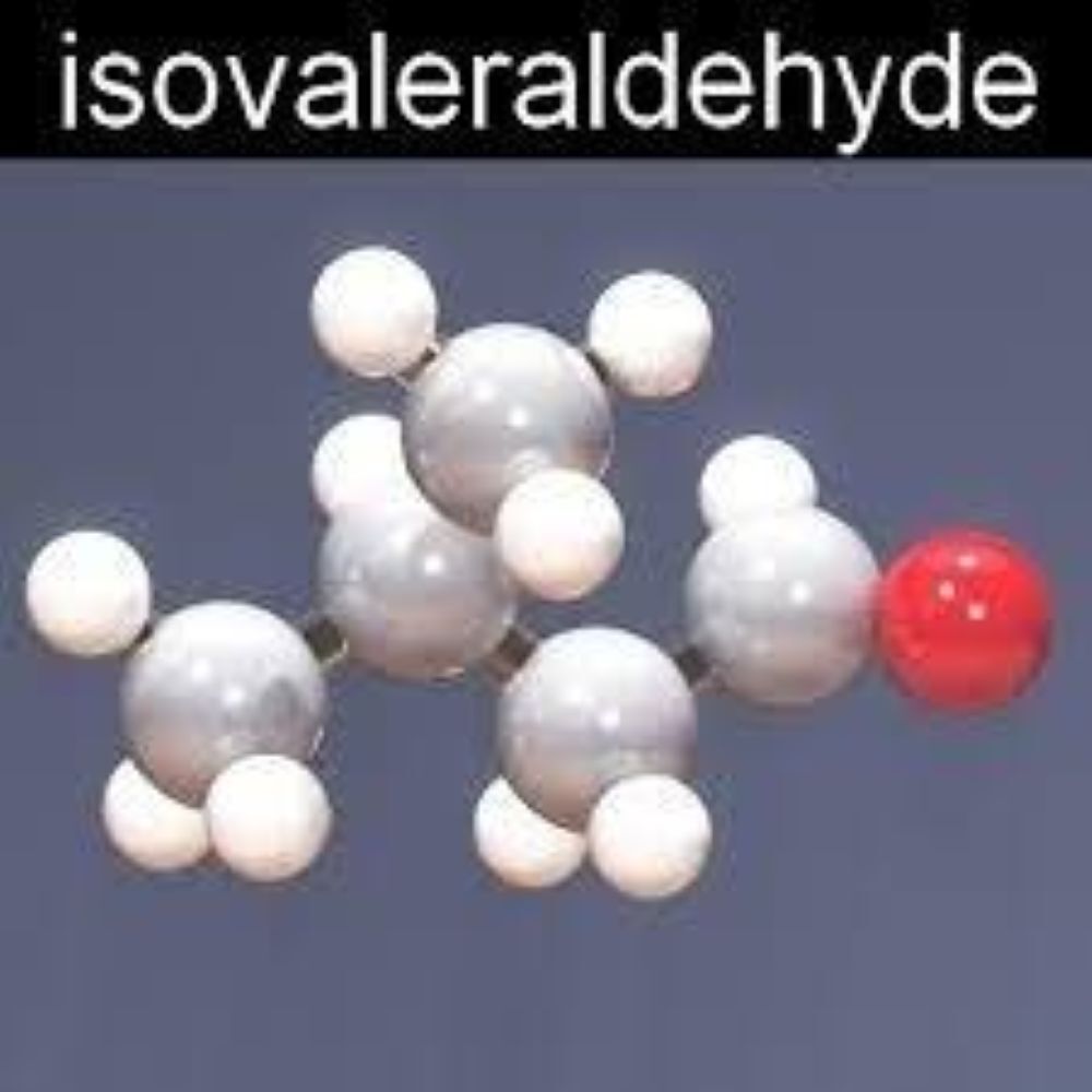 Iso valeraldehyde Chemical (590-86-3)