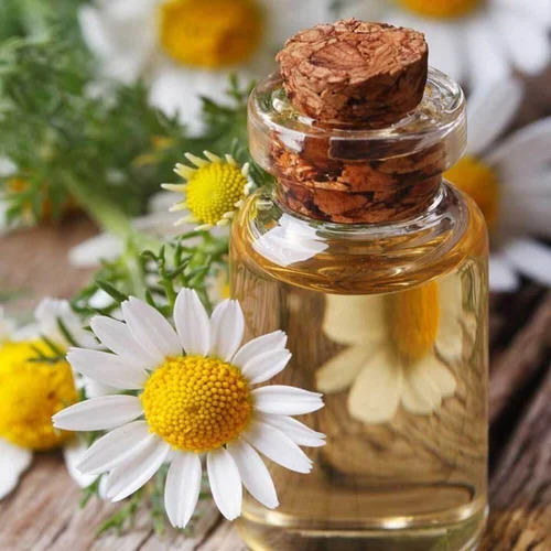 Cypress Essential Oil