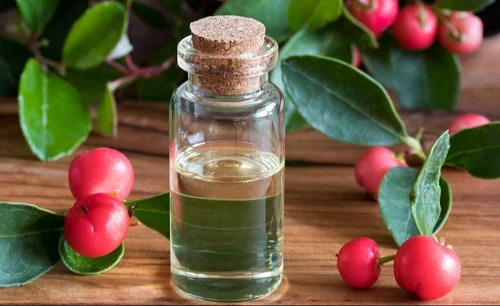 Winter Green Essential Oil