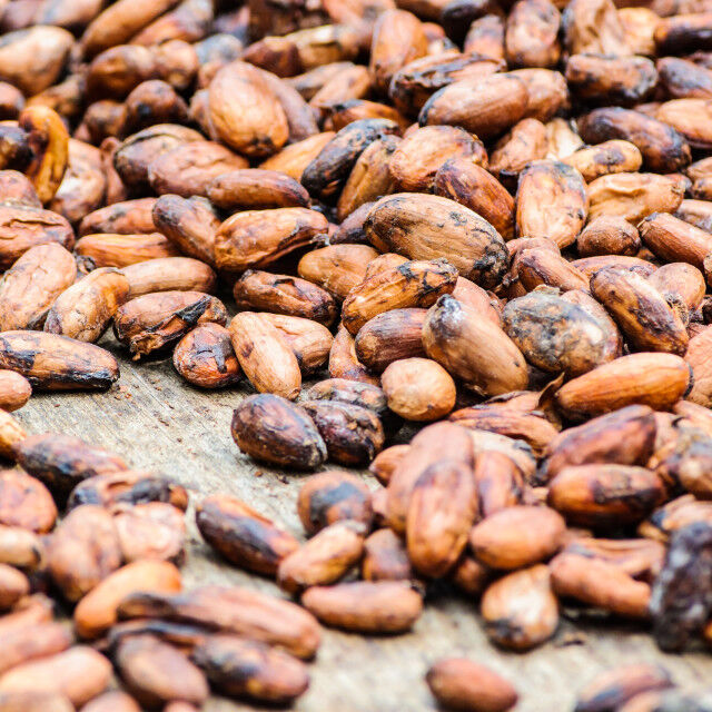 Natural Brown Cocoa Beans