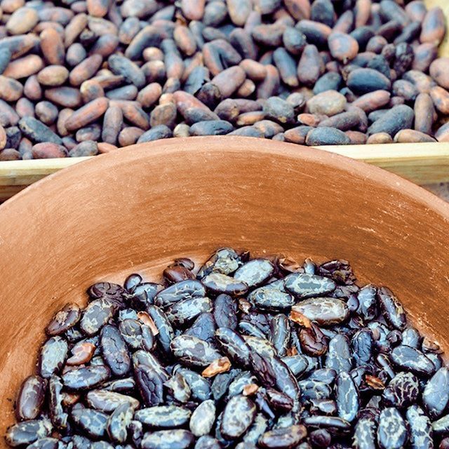 Natural Brown Cocoa Beans