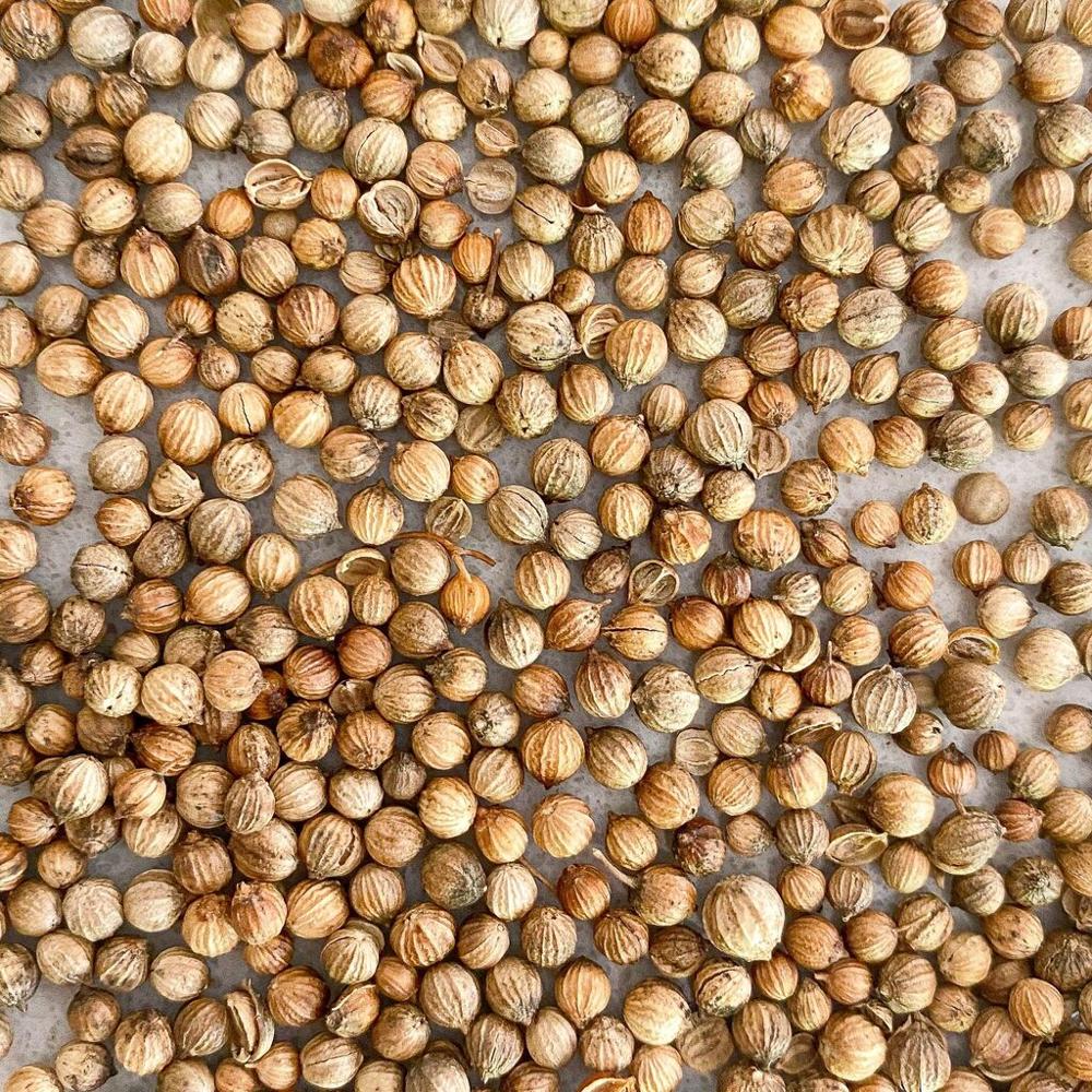 Coriander Powder