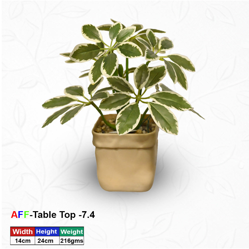 Artificial Succulent Frosted Variegated Umbrella Leaf Tabletop