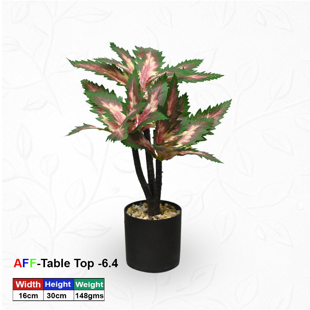 Artificial Succulent Rose Variegated Tabletop Shrub