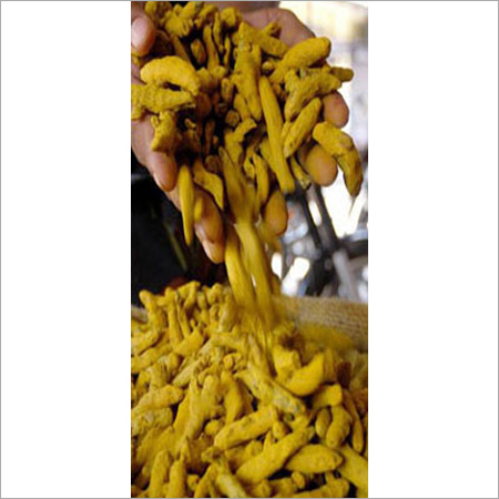 Dry Turmeric Fingers