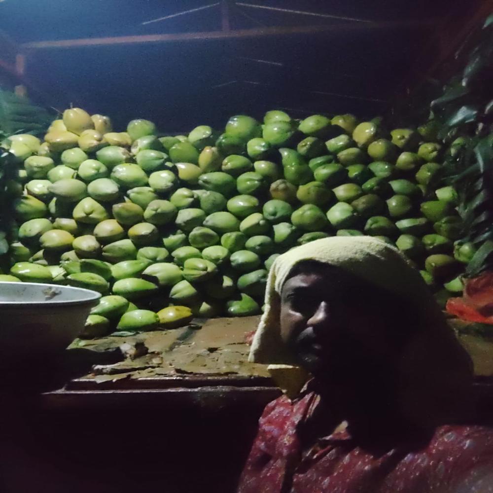 Whole Green Tender Coconut
