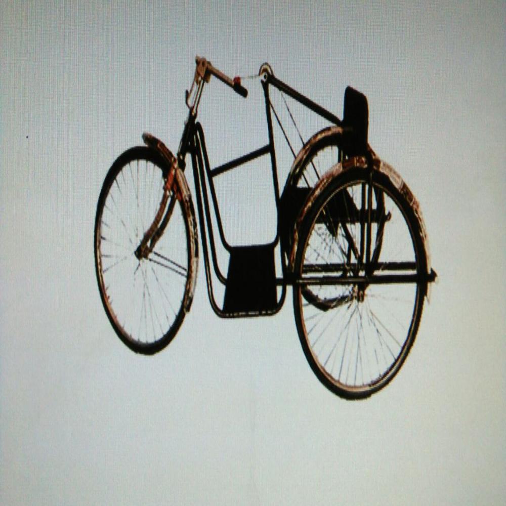Handicapped Tricycle - Color: White