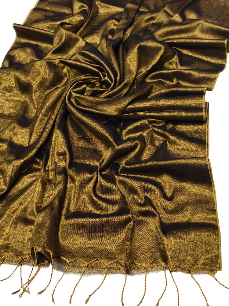 Trendy Tissue Saree - Feature: Machine Wash / Hand Wash