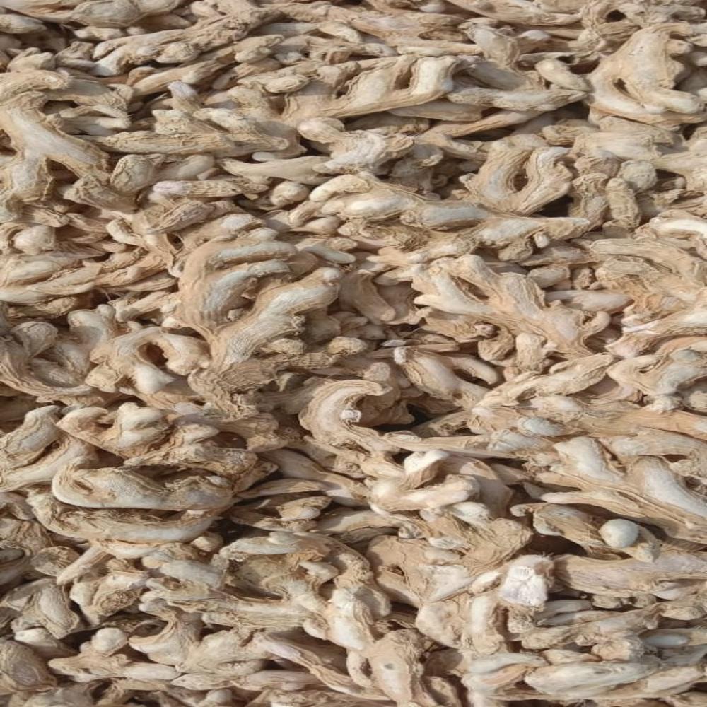 Whole dry ginger