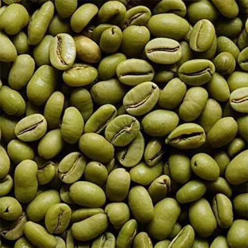 Green Coffee Beans