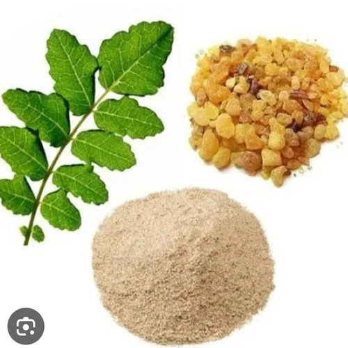 Boswellia Serrata Extract Powder