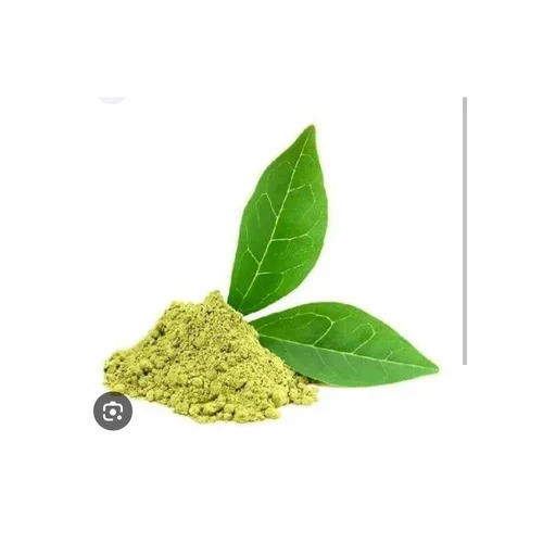 Gymnema Sylvestre Extract Powder