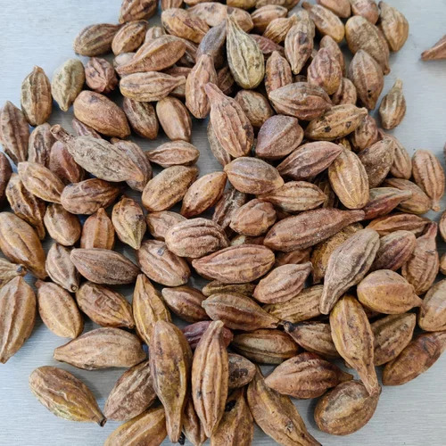 Terminalia Chebula Extract
