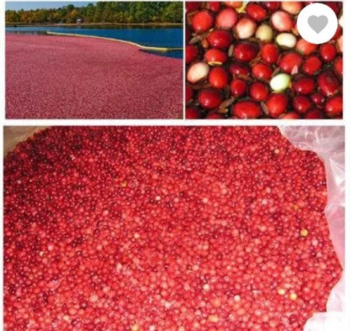 Cranberry Extract Powder