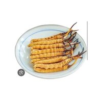 Cordyceps Sinensis Powder