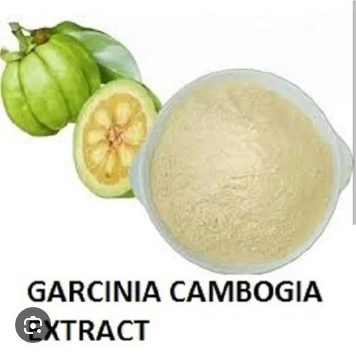 Garcinia Cambogia Extract Powder