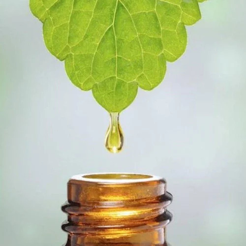 Plant Extracts