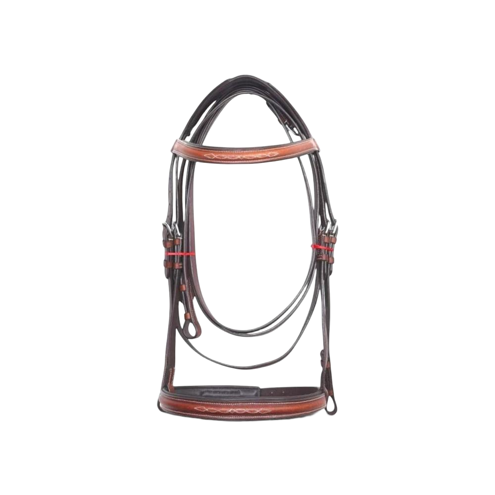Horse Leather Bridle