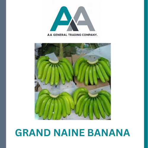 Grand Nain Banana