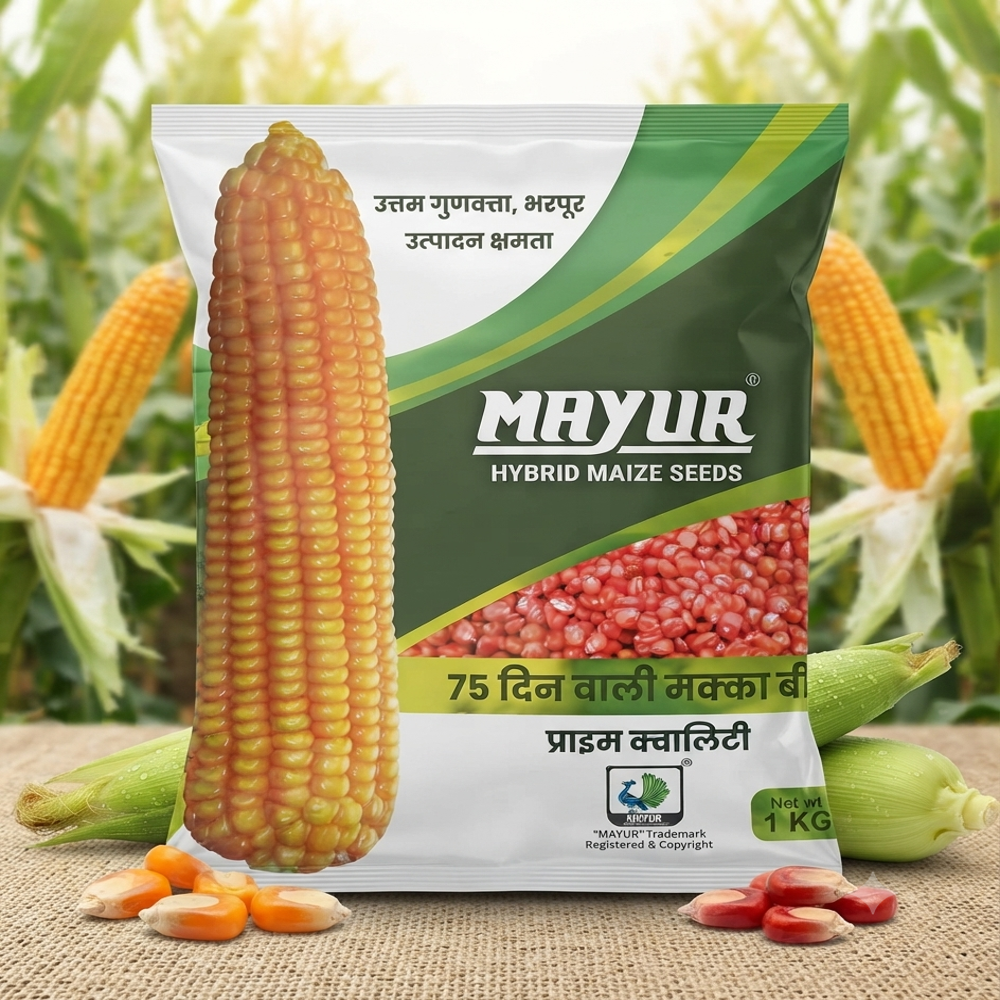 Maize Seeds Packaging Pouch 