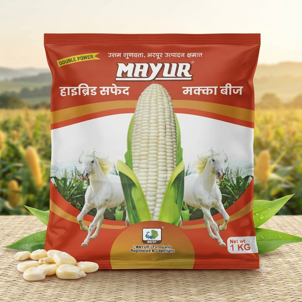 Maize Seeds Packaging Pouch 