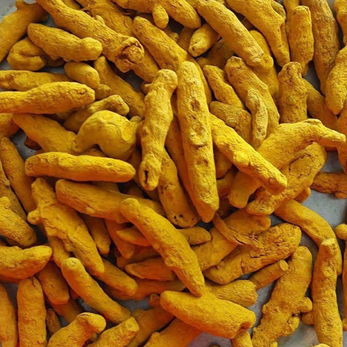 Hingoli Turmeric Finger