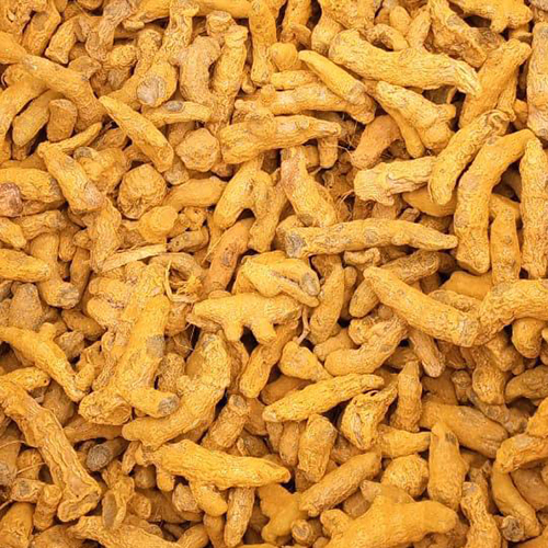 Assam Turmeric Finger