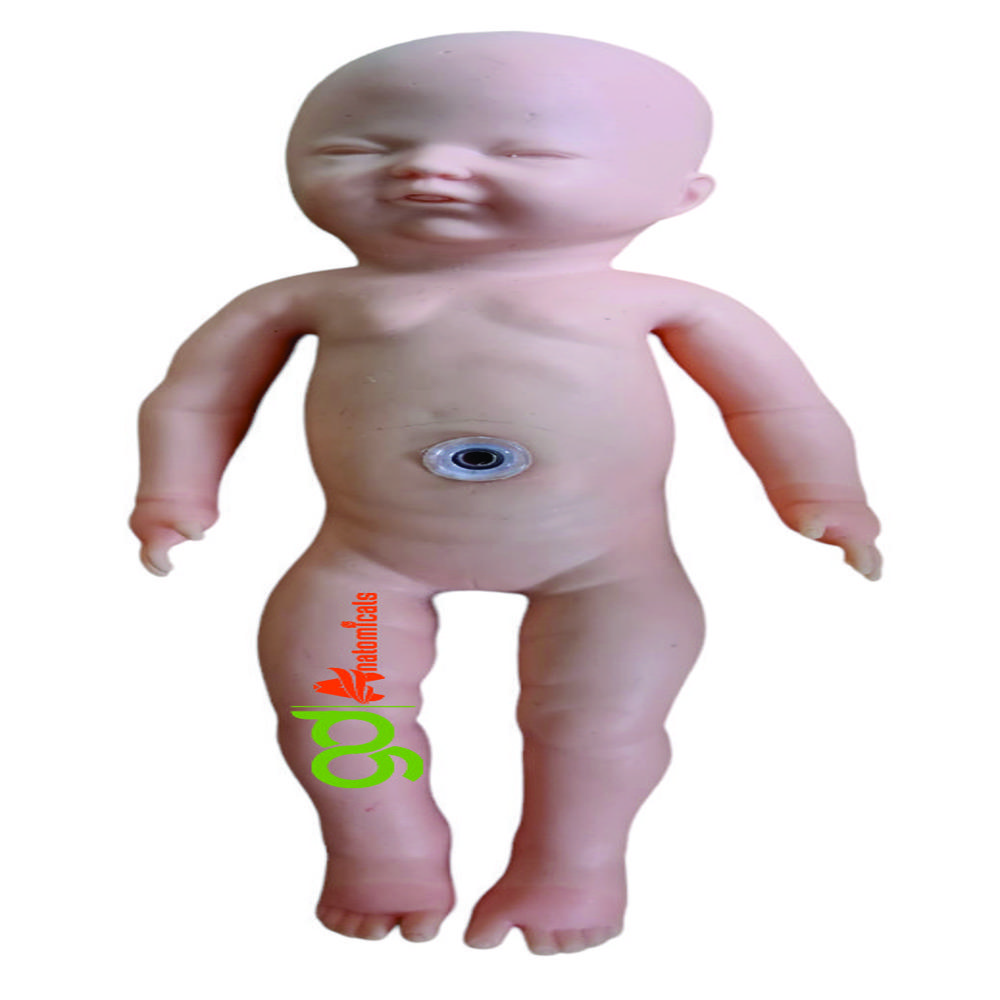 New Born Baby Model
