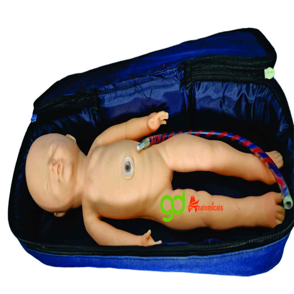 New Born Baby Model