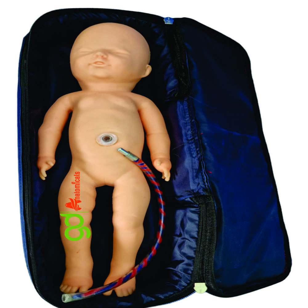 New Born Baby Model