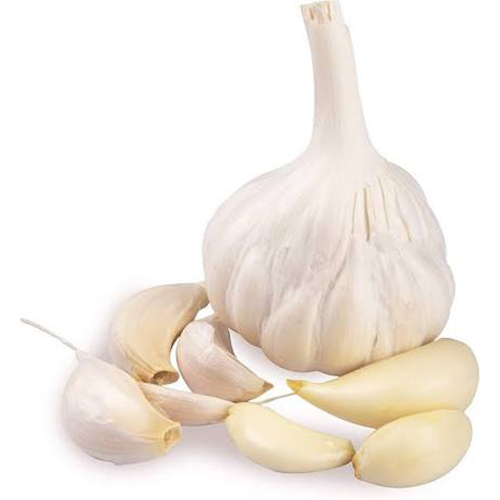 Fresh Garlic - Moisture (%): 5% - 10%