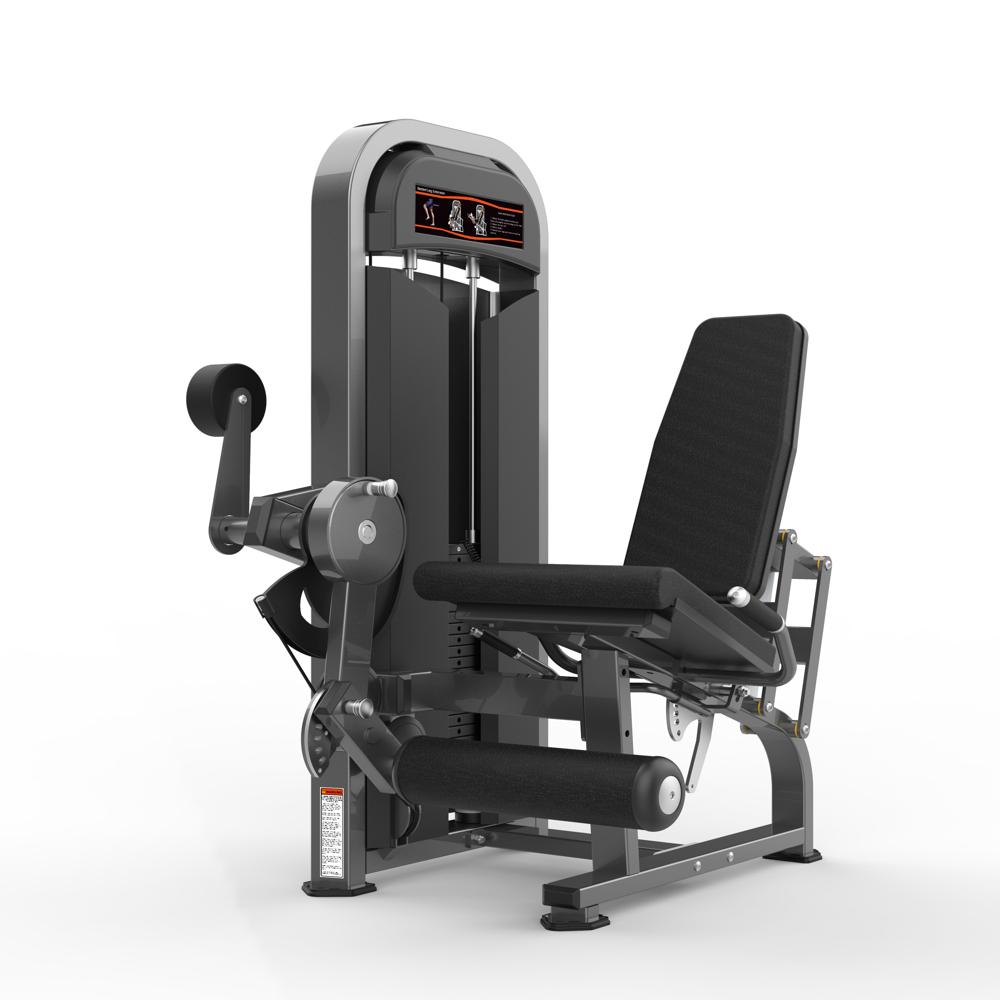 Leg Extension