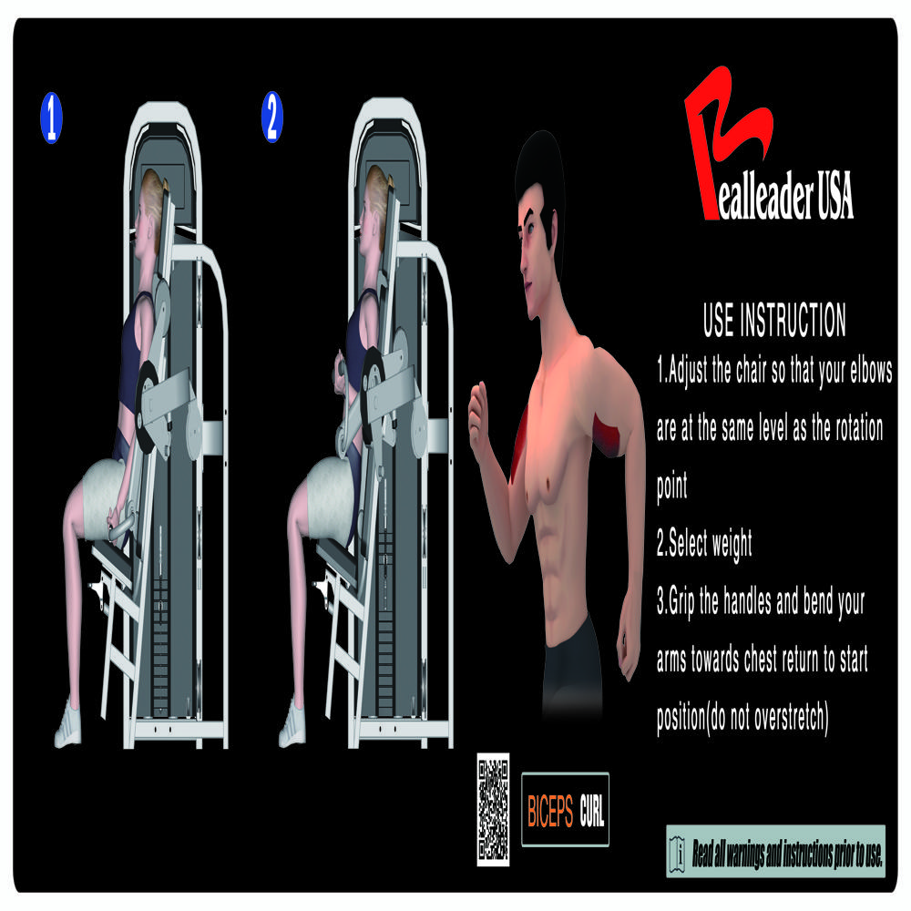Seated Biceps Curl
