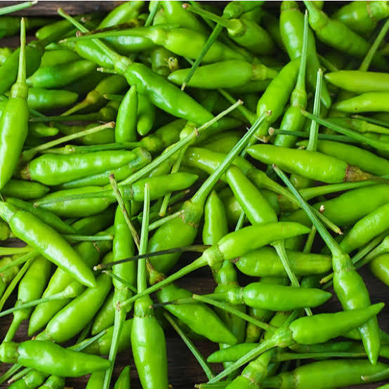 Green Birds Eye Chilli