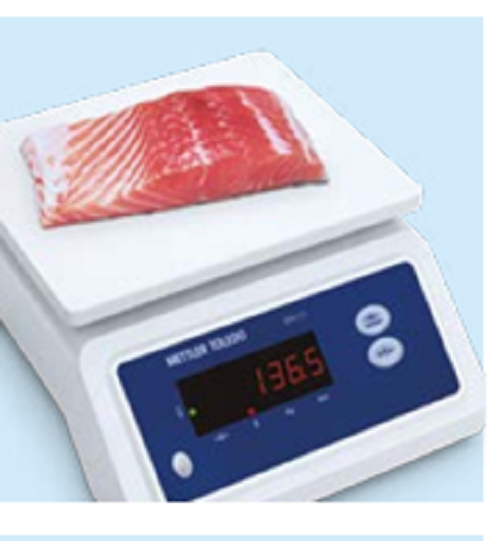 Industrial Balance Bpa 121