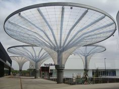 Custom Tensile Structure Design