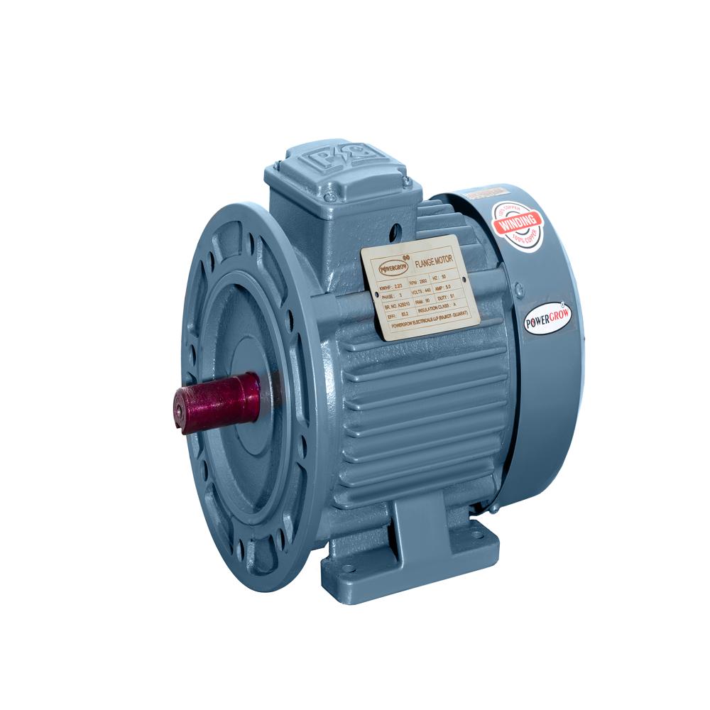 Flange Motors