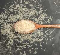 6 2 Mm Tibar Basmati Rice