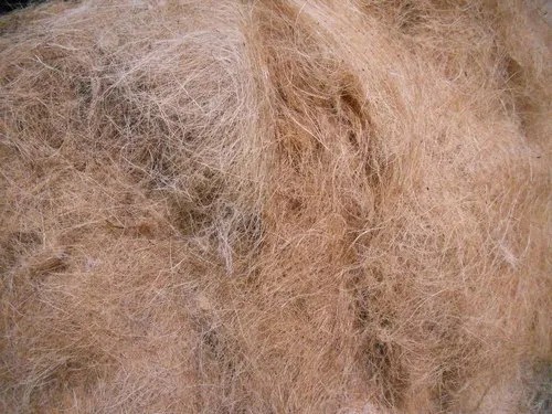 Coconut Coir Fibre