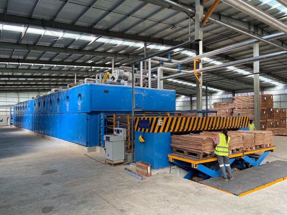 Advance Roller Veneer Dryer with Auto Feeder