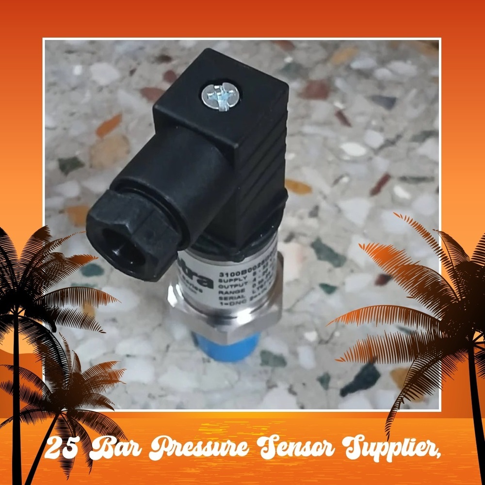 SETRA Pressure Transmitter 3100B0025G05BO2, Range:025 Bar Supplier in India